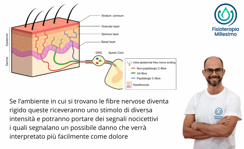 ciclo mestruale, menopausa, ormoni dolore e ciclo mestruale endometriosi