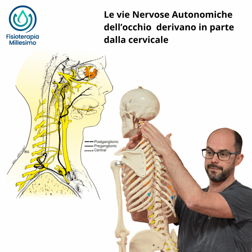 cervicale stress e abbassamento della vista 